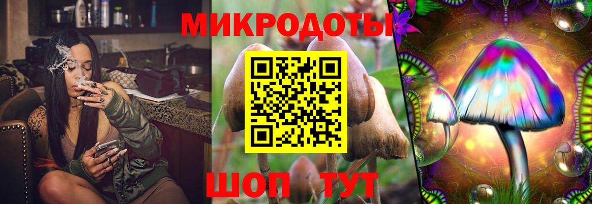 Галлюциногенные грибы Psilocybe  Вход с VPN  Минеральные Воды 
